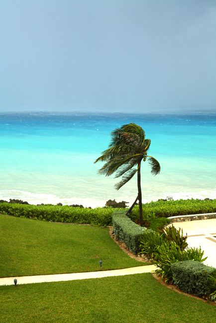 Florida Homeowner Insurance Policies